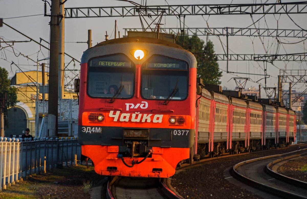 Эд4м 0377 Чайка