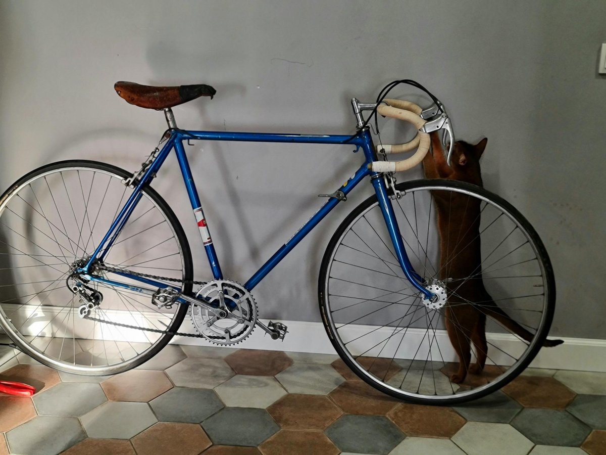 ХВЗ старт шоссе