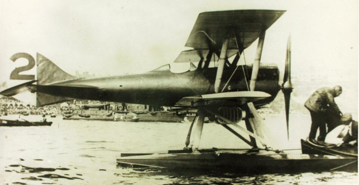 Самолет Ньюпор Деляж 29