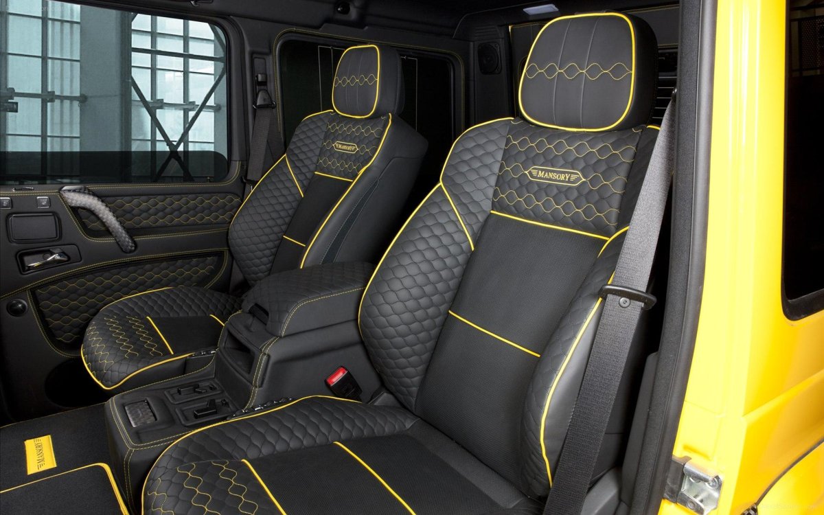 Mansory gronos // Mercedes-Benz g 63 AMG
