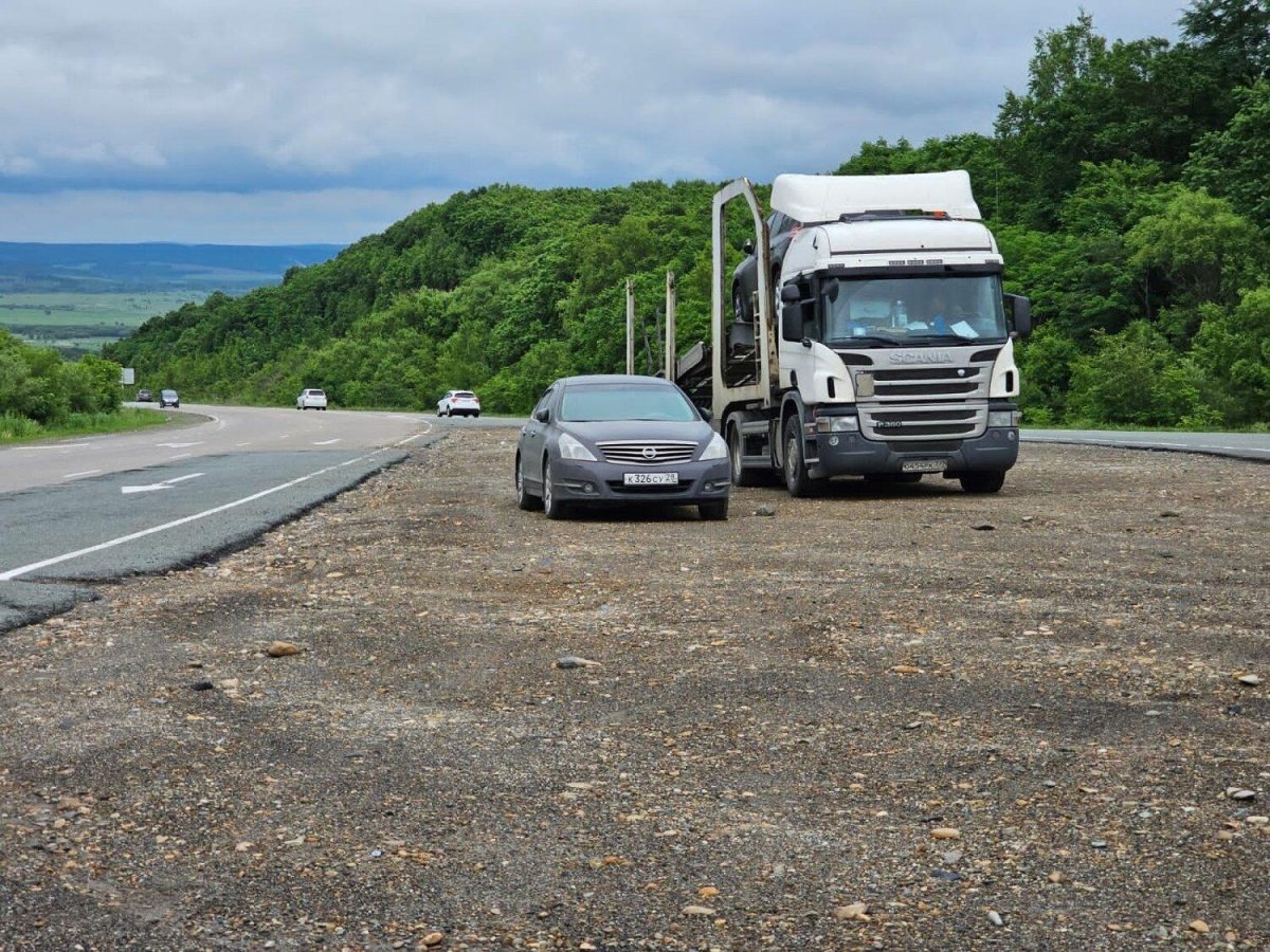 Ятис автовоз фото Скания