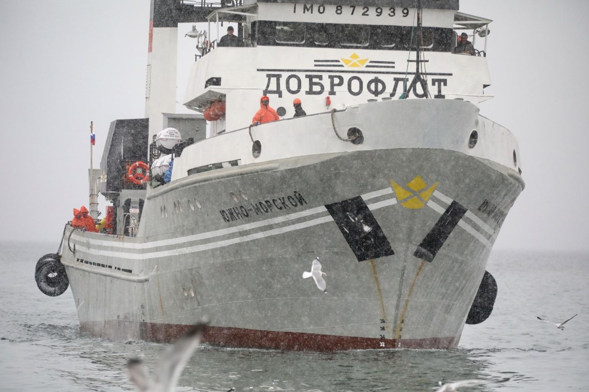 Доброфлот траулер