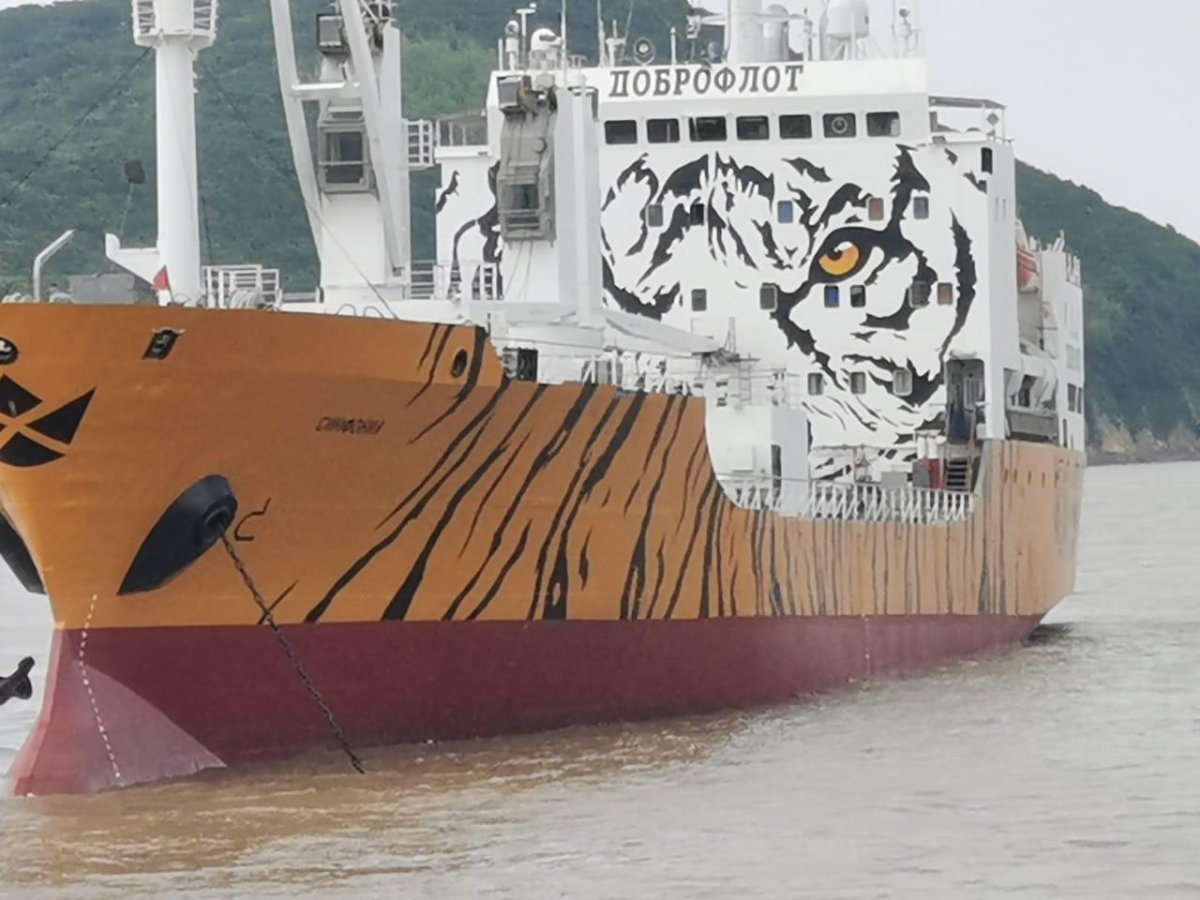 Доброфлот корабль тигр