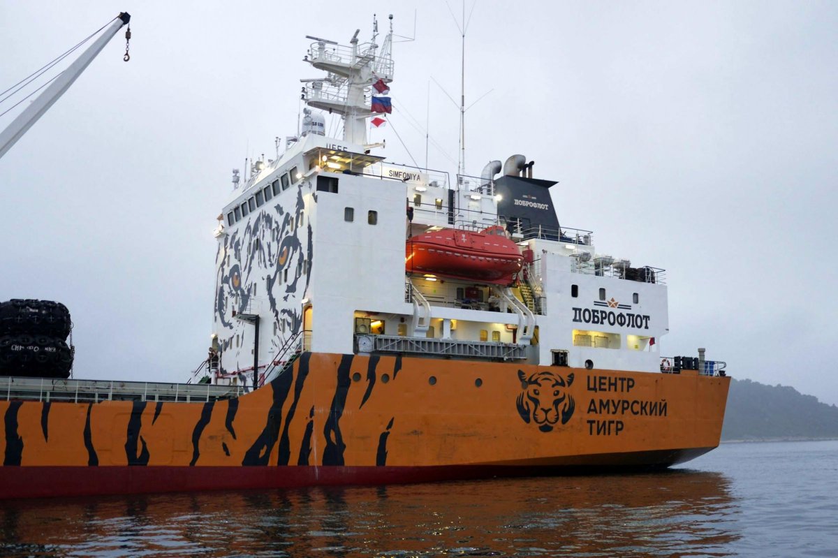 Доброфлот корабль тигр