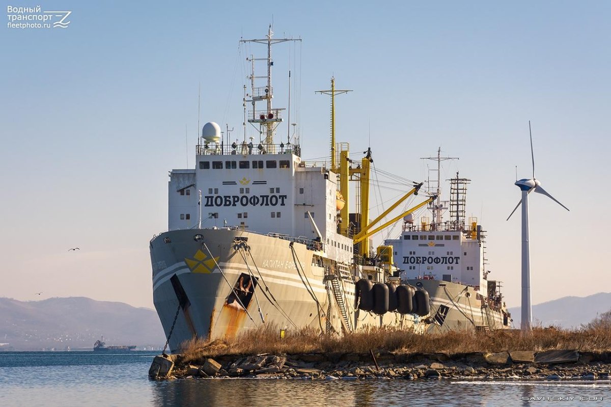 Плавзавод Капитан Ефремов