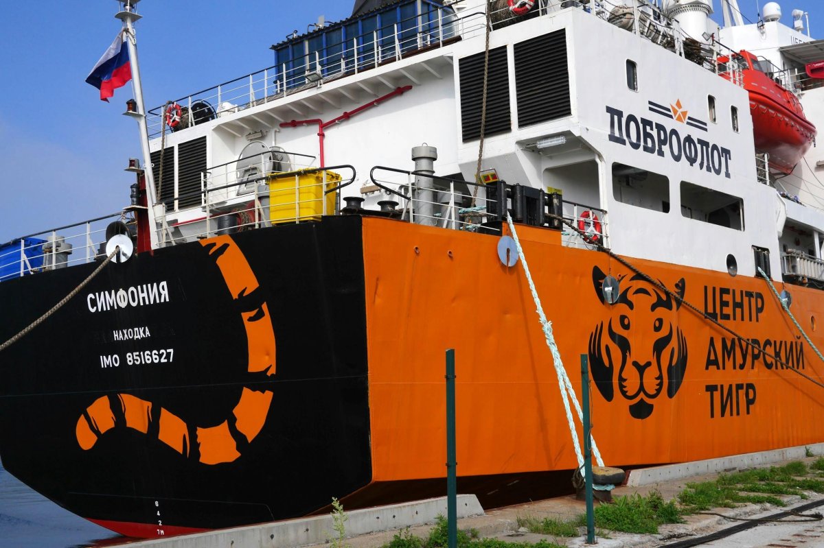 Доброфлот судно Амурский тигр