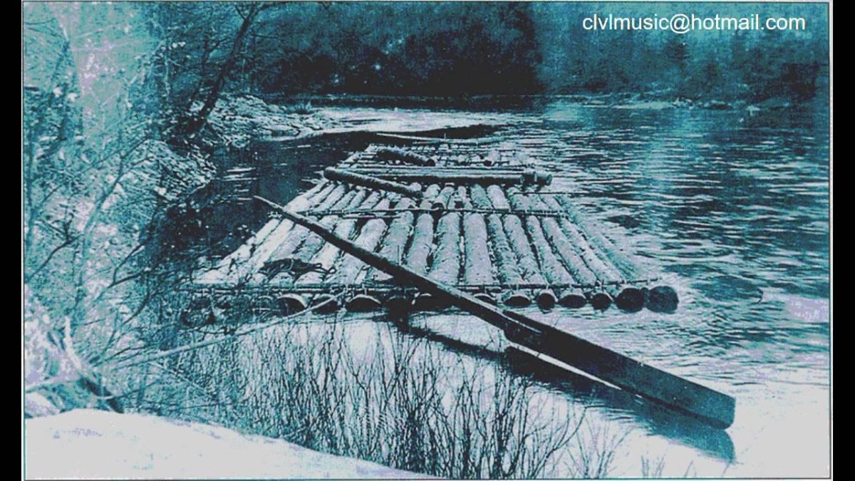 Сплав леса 19 век