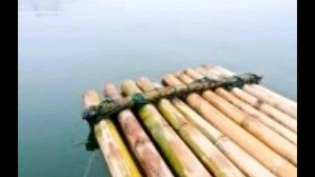 Плот из бревен