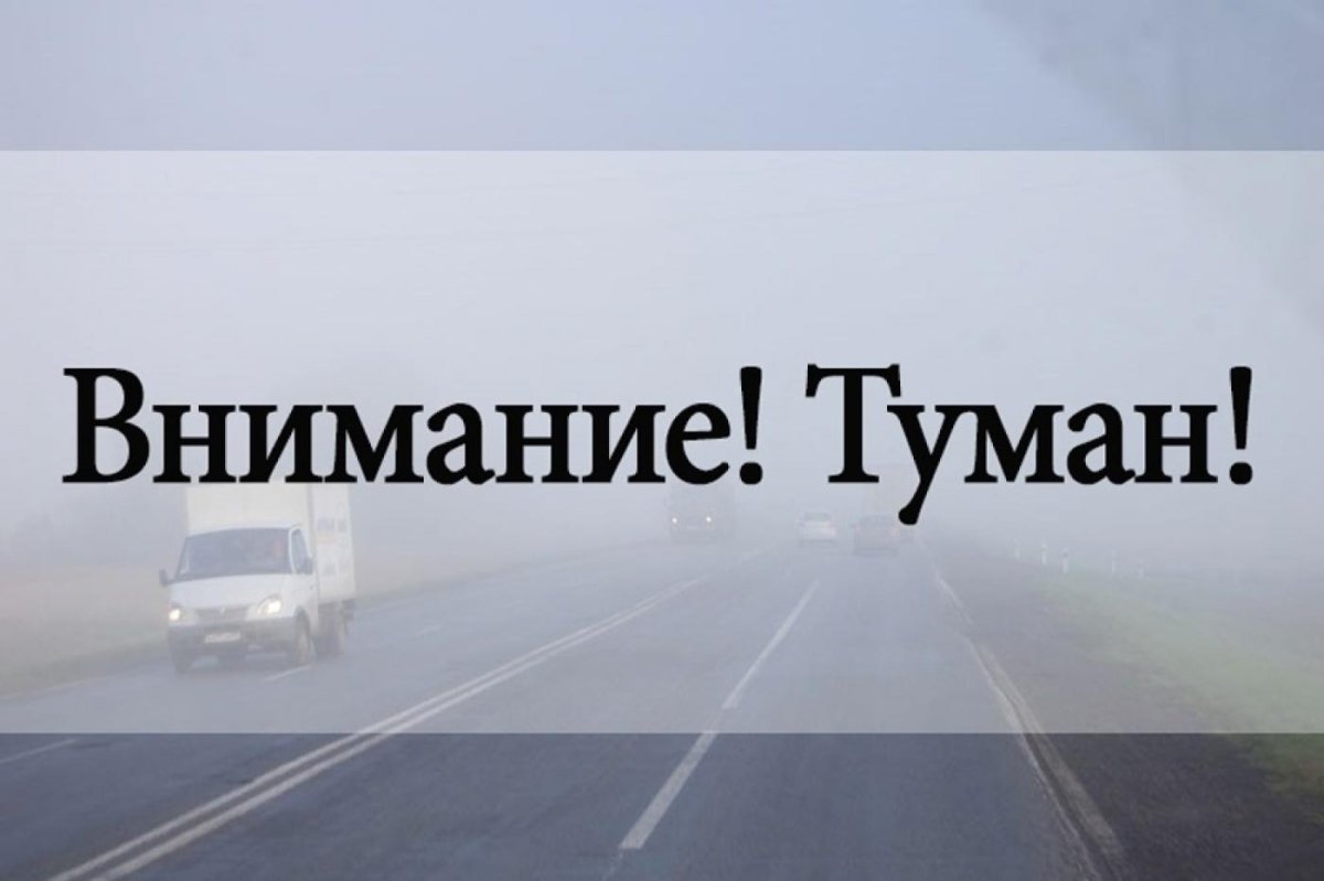 Внимание туман на дороге
