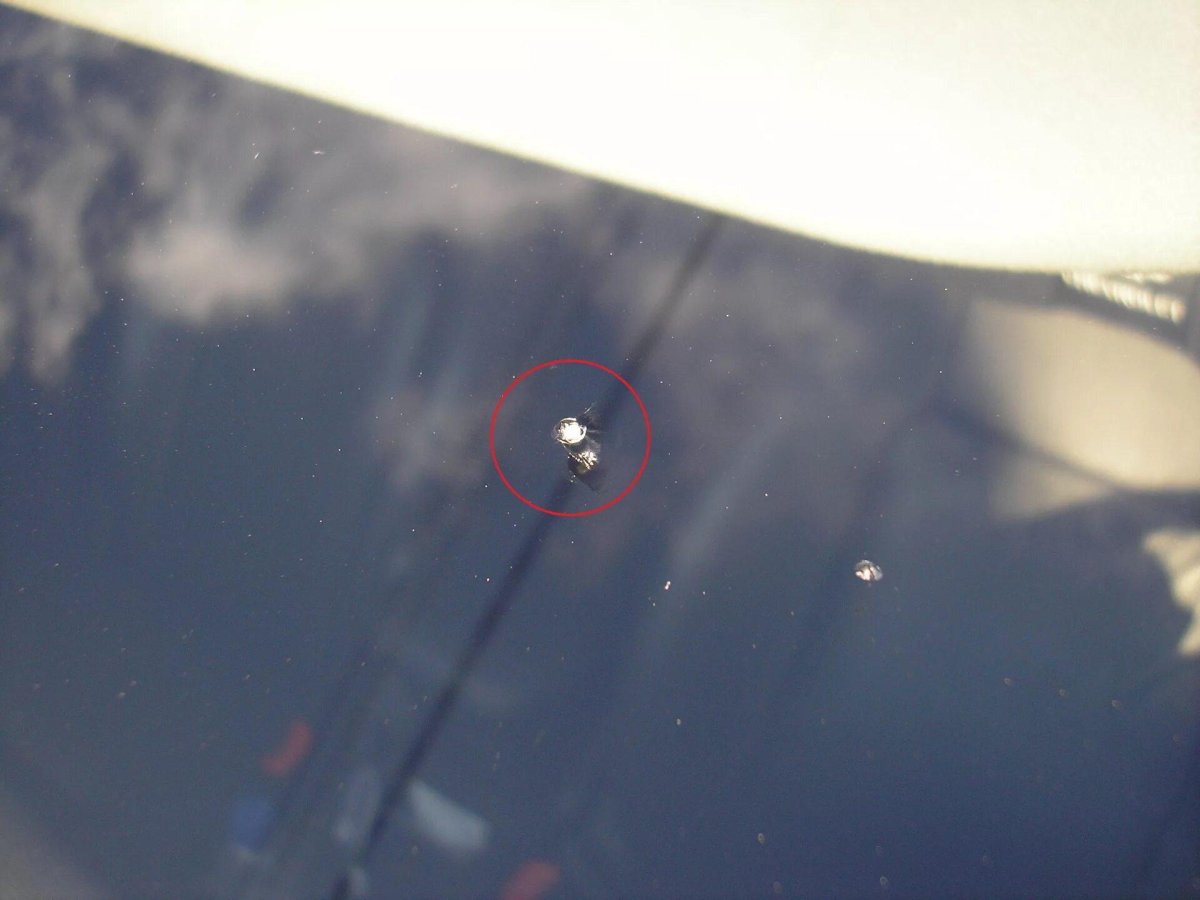 Скол бычий глаз на лобовом стекле