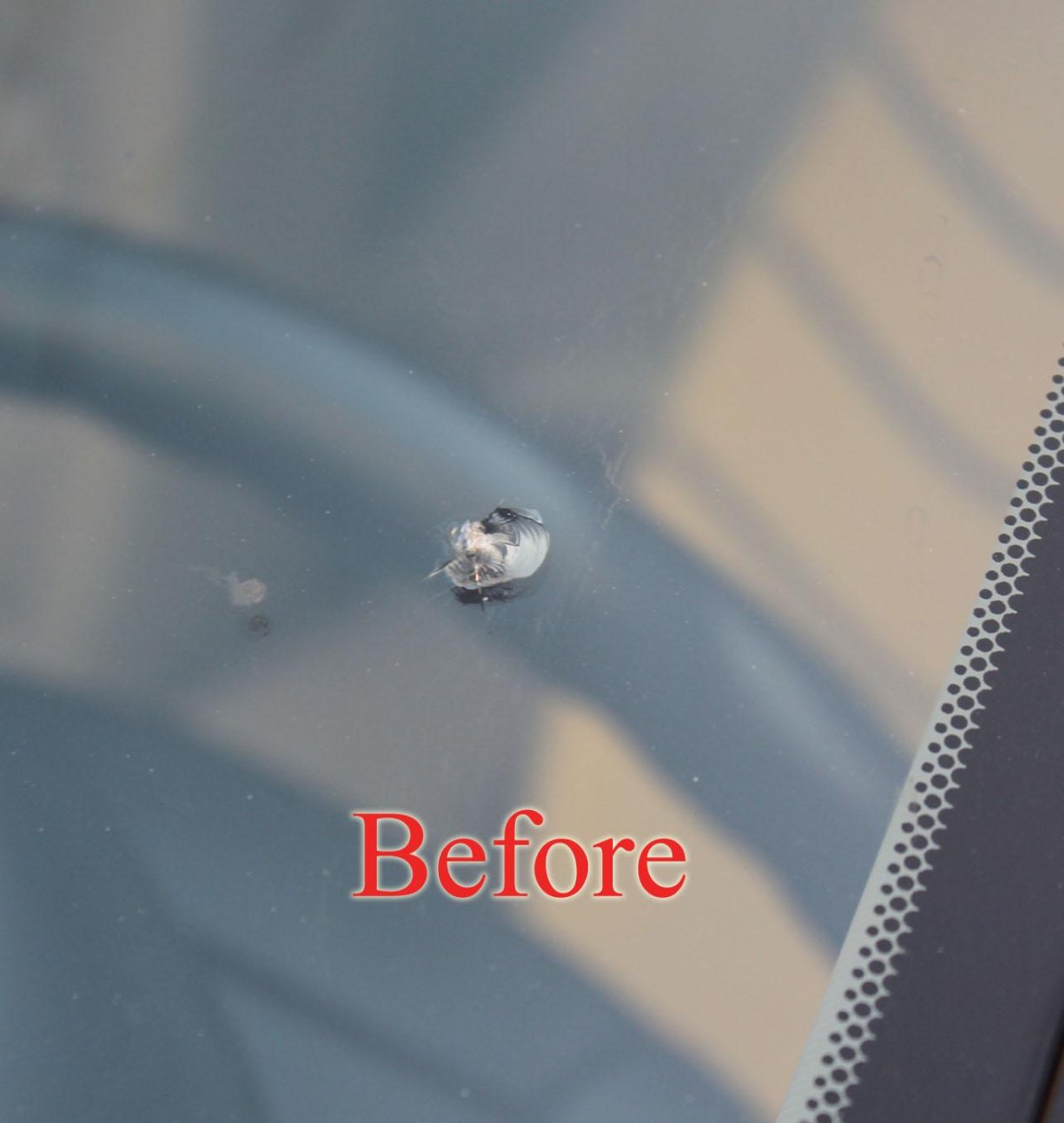 Скол на стекле авто