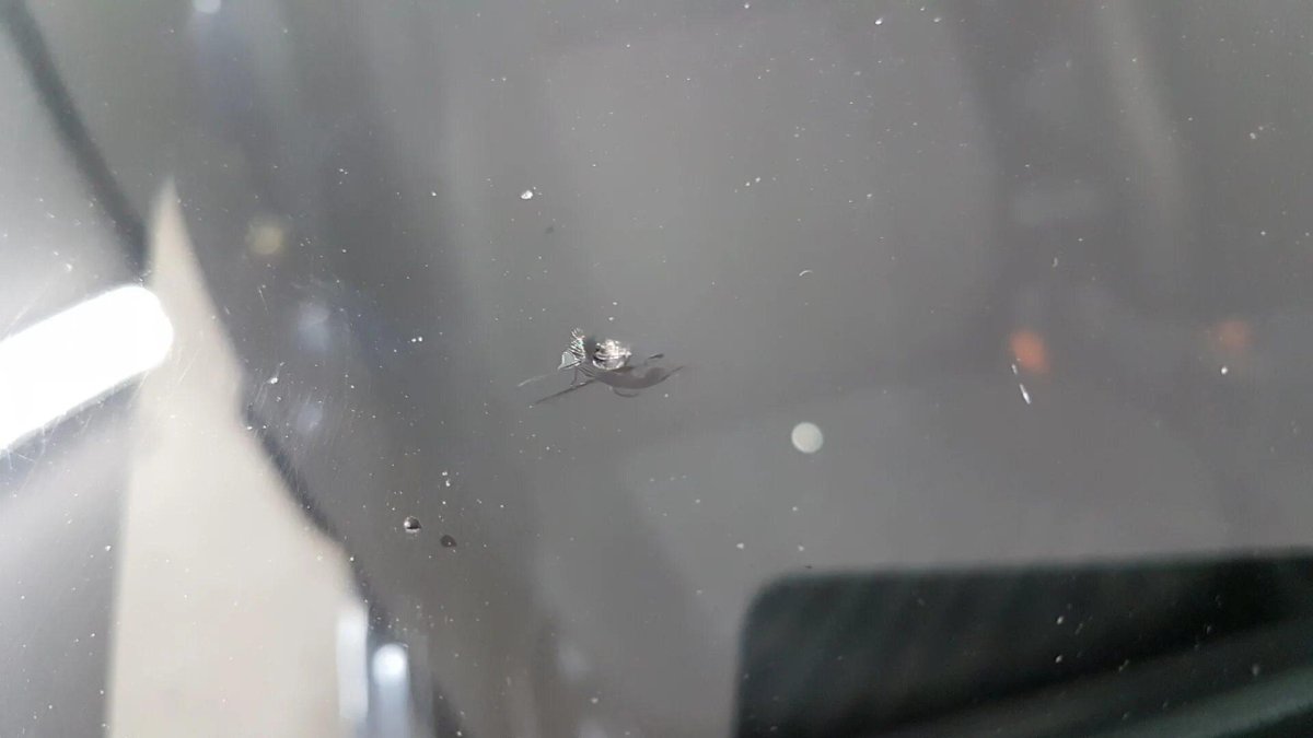 Скол на лобовом стекле Тигуан