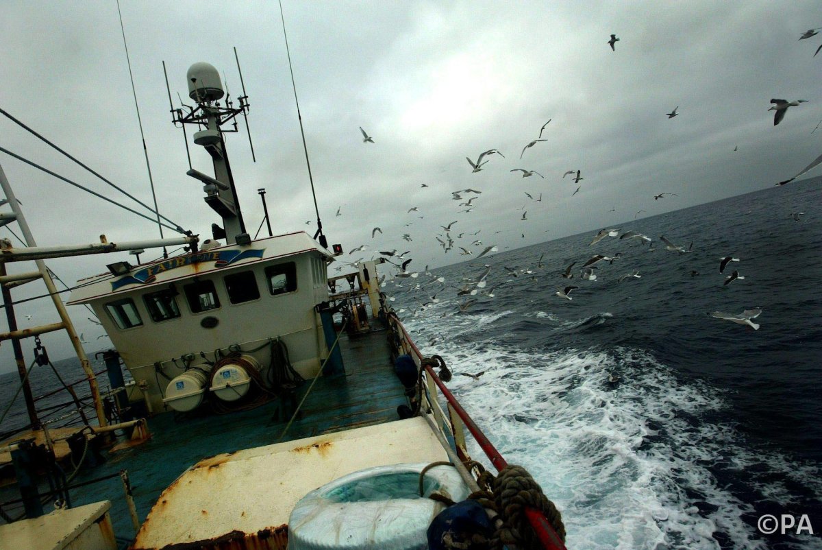 Рыболовное судно Териберка Мурманск