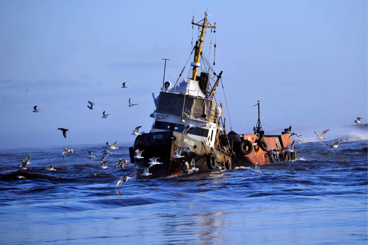 Рыболовецкий сейнер