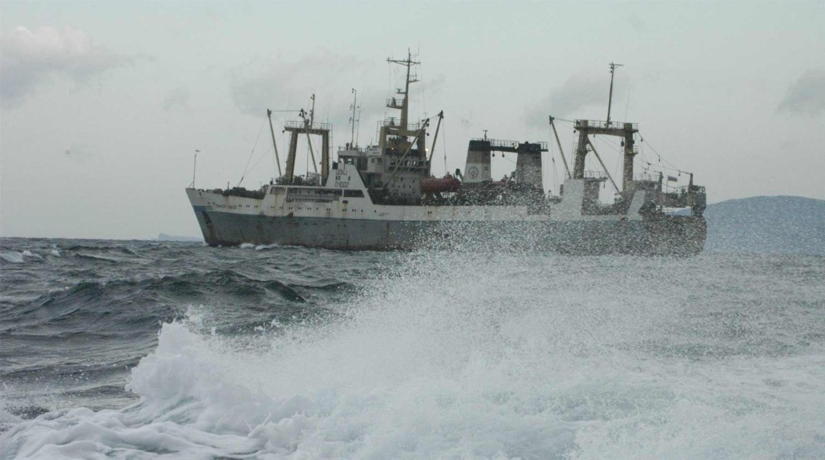 Траулер (БМРТ) "Капитан Болсуновский