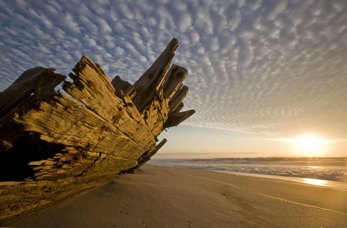 Пустыня Намиб берег скелетов