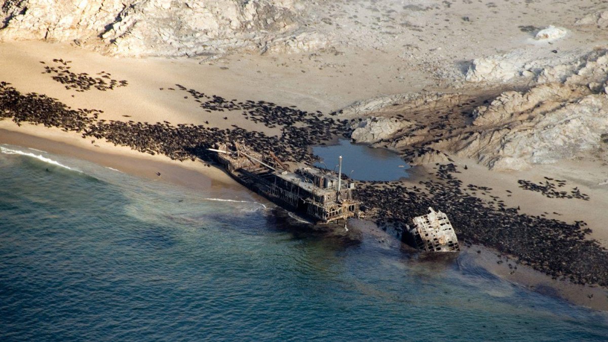 Пустыня Намиб берег скелетов