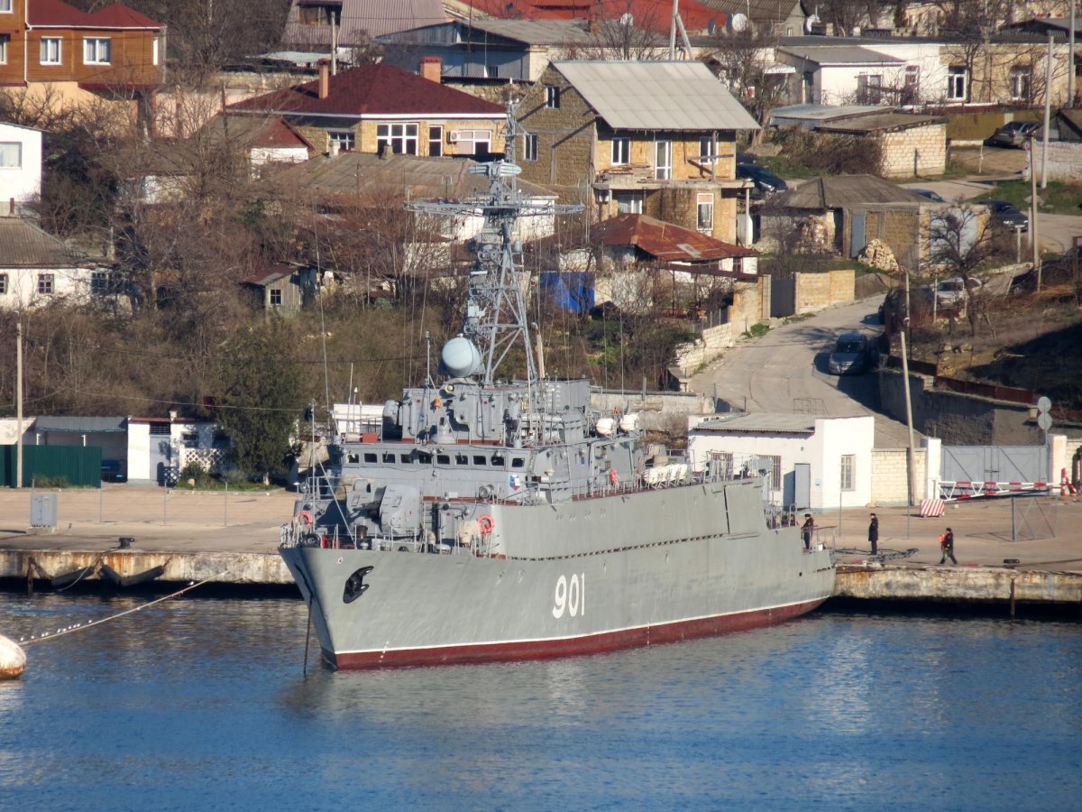 МТЩ Железняков 901 Новороссийск