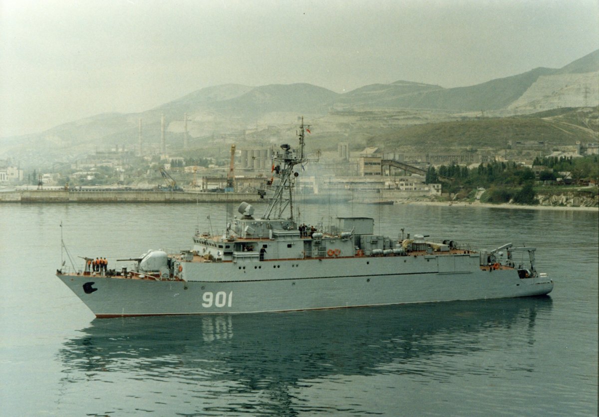 МТЩ Железняков проект 12660