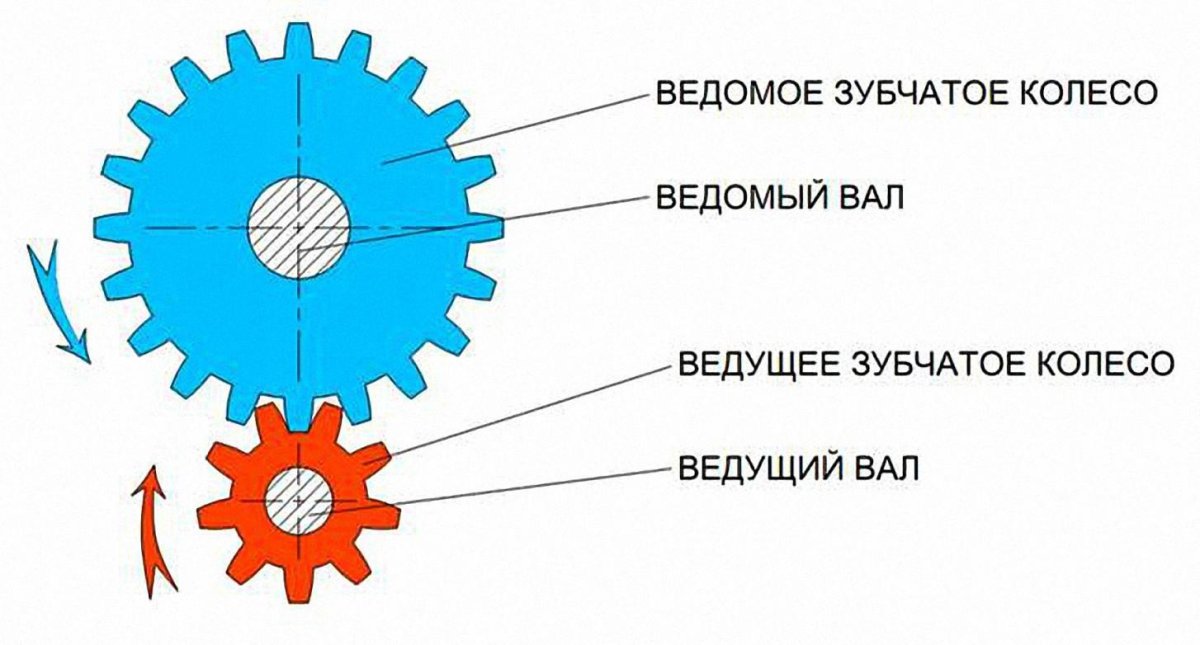 Ведущее и ведомое зубчатое колесо