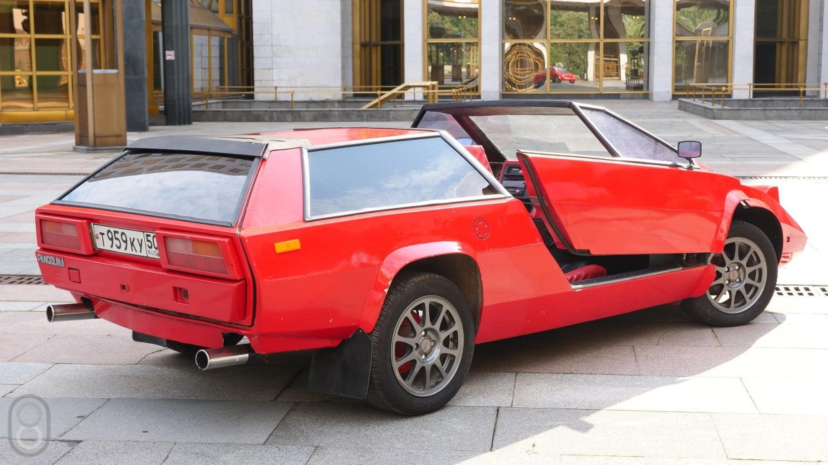 Панголина Александра Кулыгина