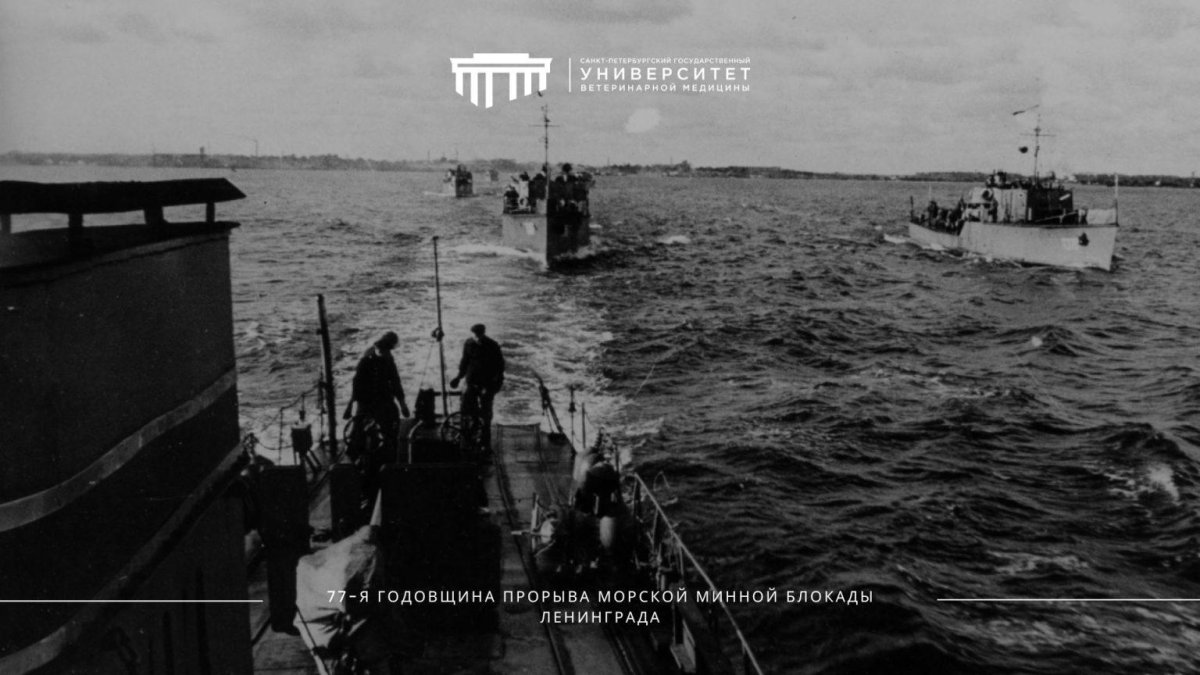 Прорыв морской минной блокады Ленинграда