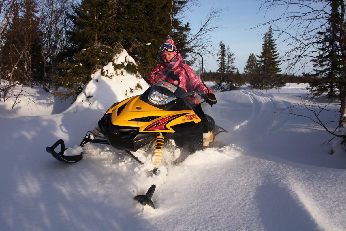 Снегоход Tiksy 250 Люкс