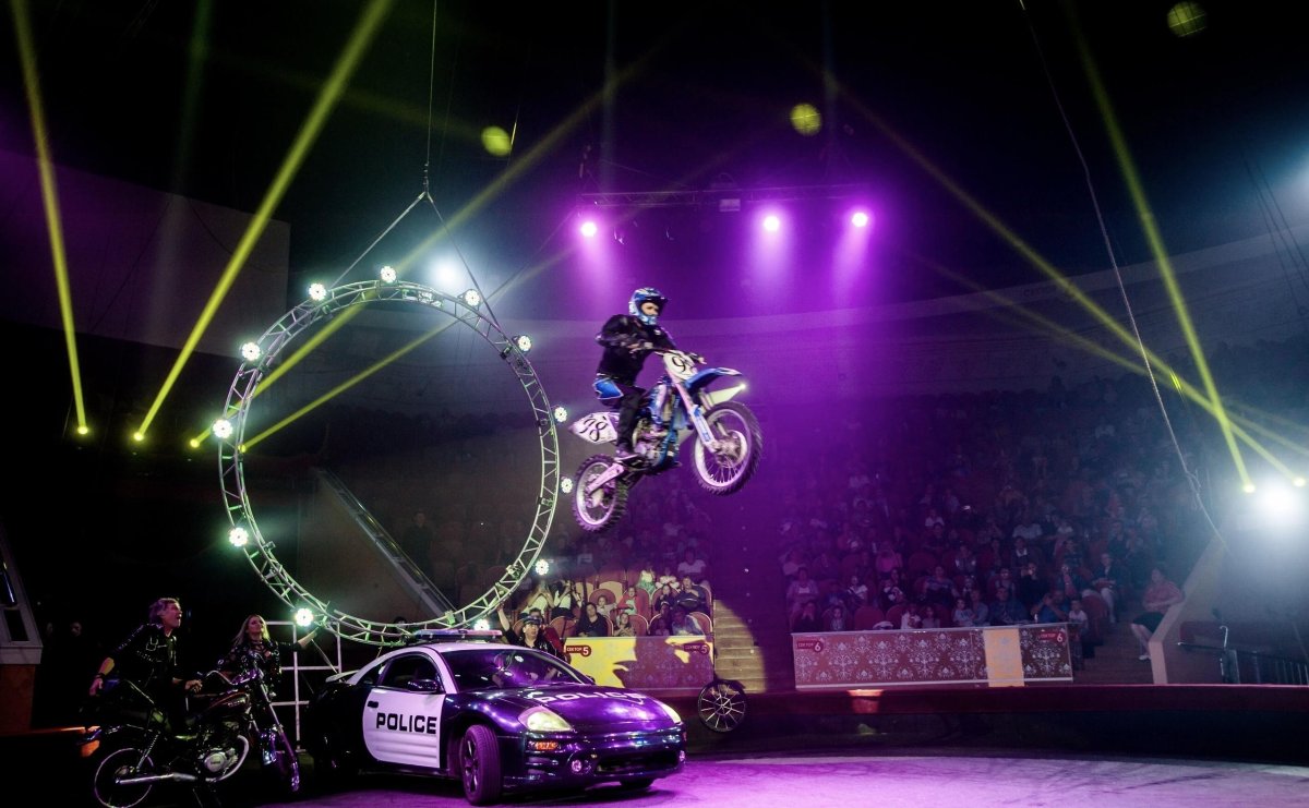 Цирк в Автово