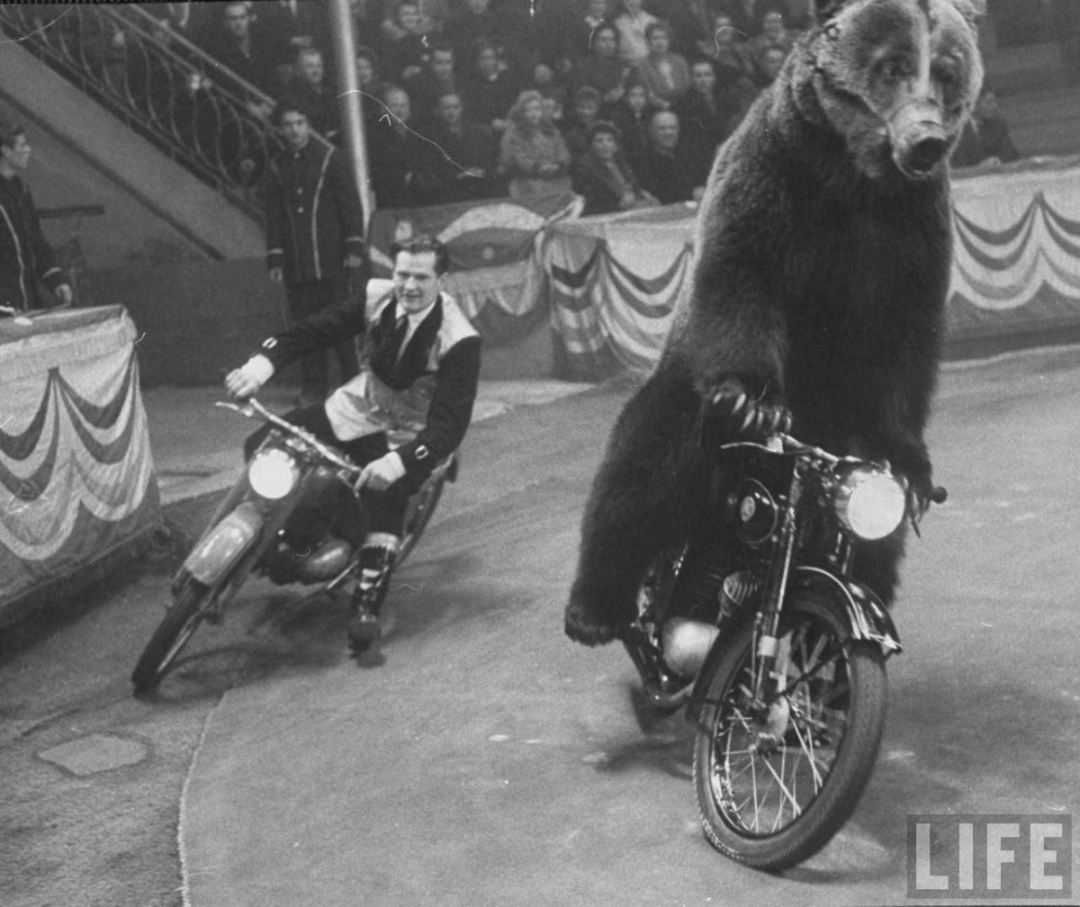 Валентин Филатов дрессировщик