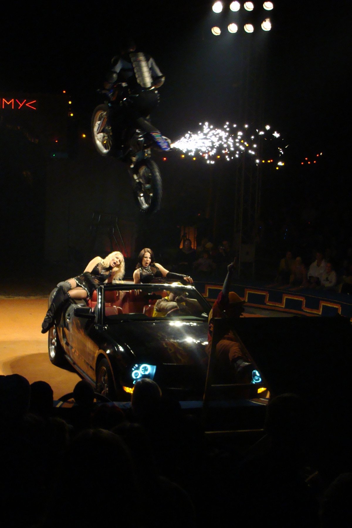 Цирк шапито Максимус