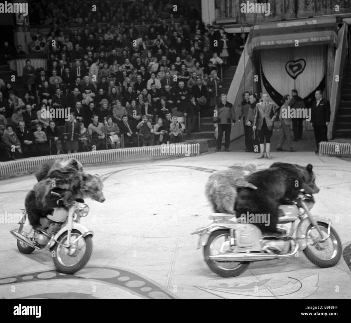 Медвежий цирк Валентина Филатова