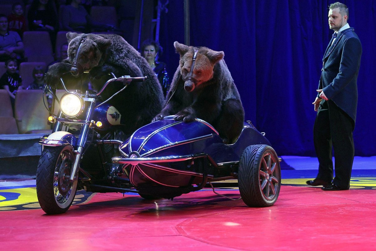 Цирк Филатовых 2021