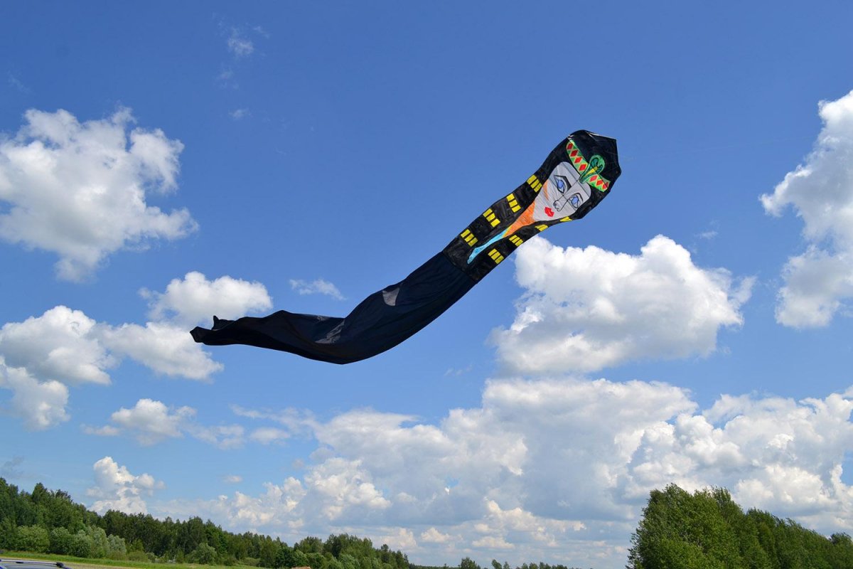 Чибис в полете фото