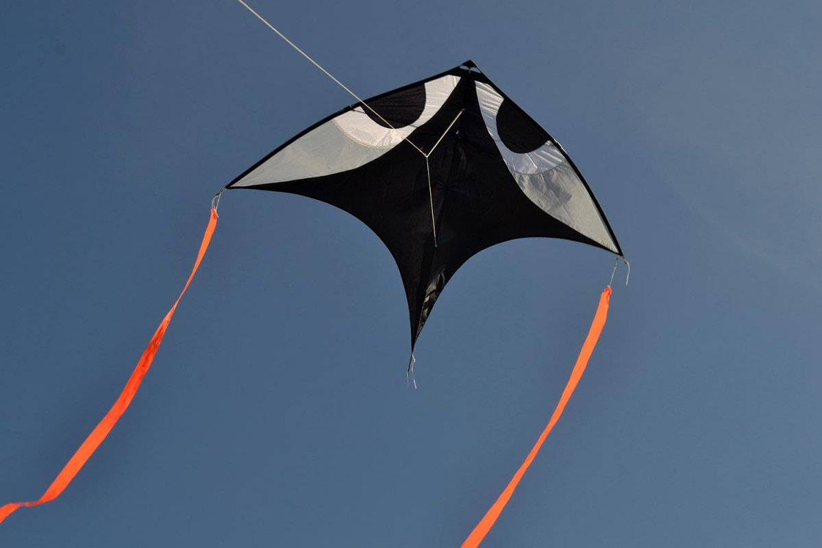 Черный воздушный змей