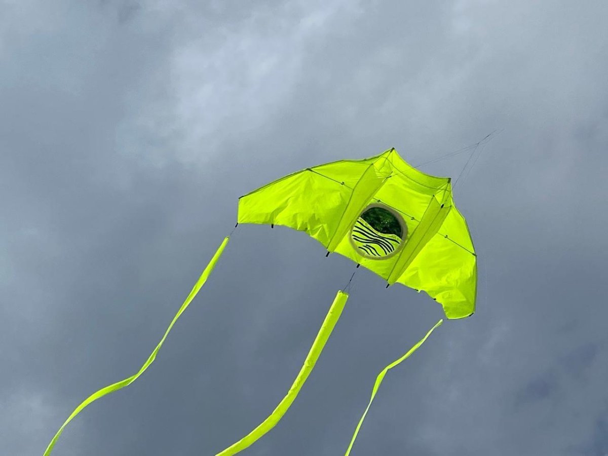 Фестиваль воздушных змеев