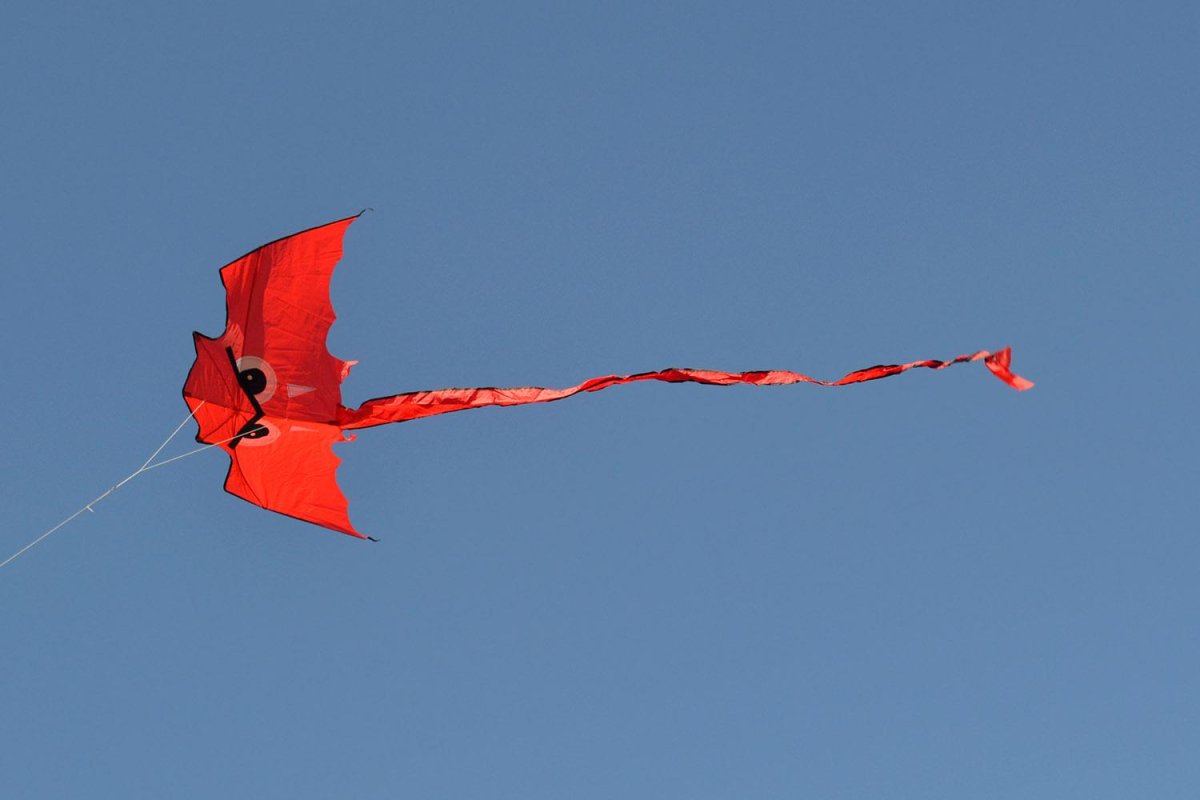 Запускать воздушного змея