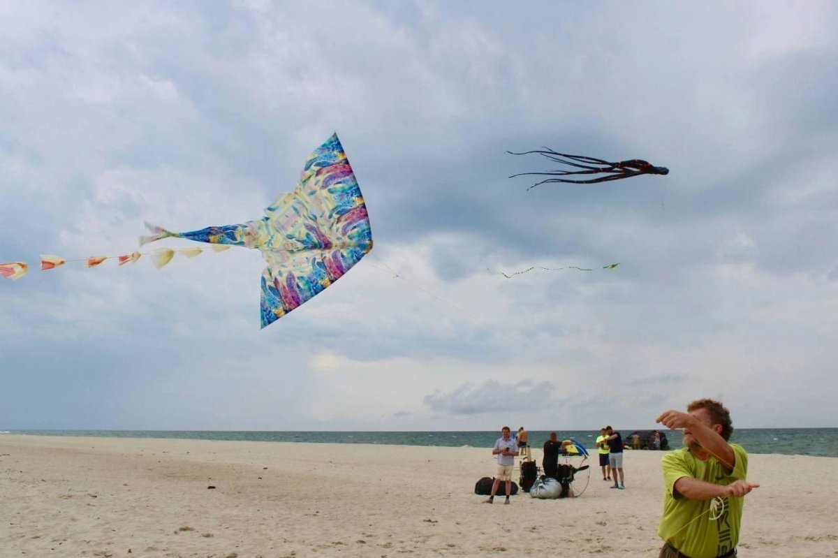 Фестиваль воздушных змеев