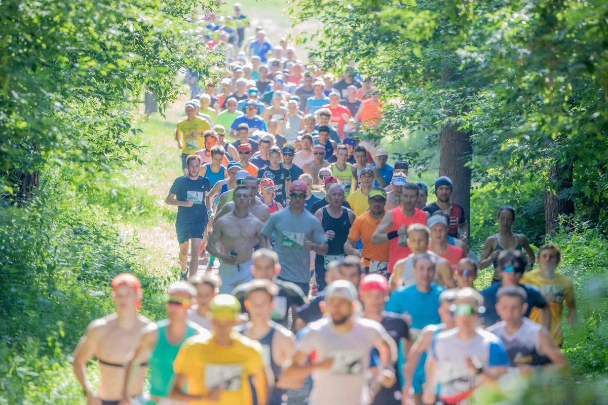 Трейл кросс