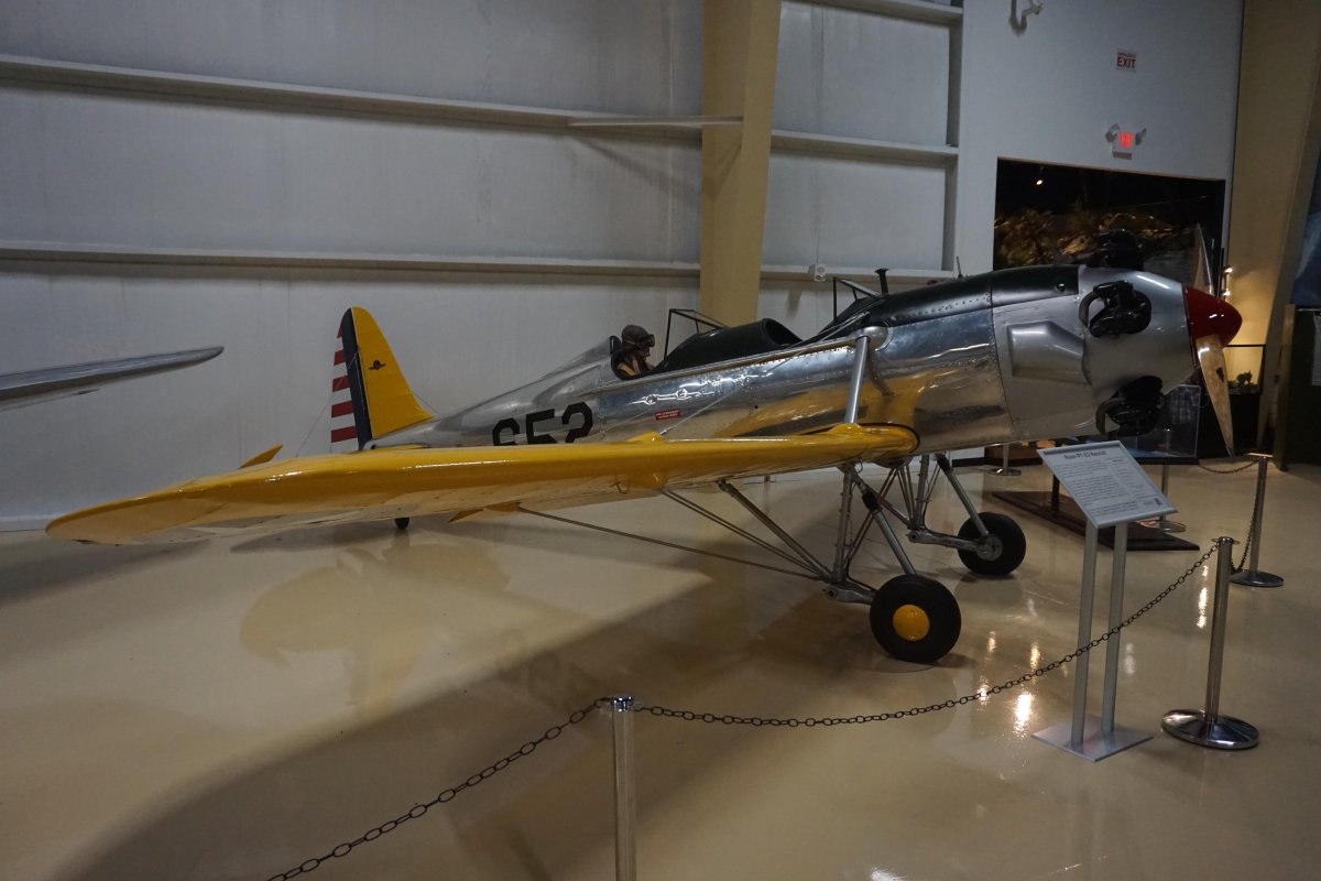 FSX Ryan pt-22