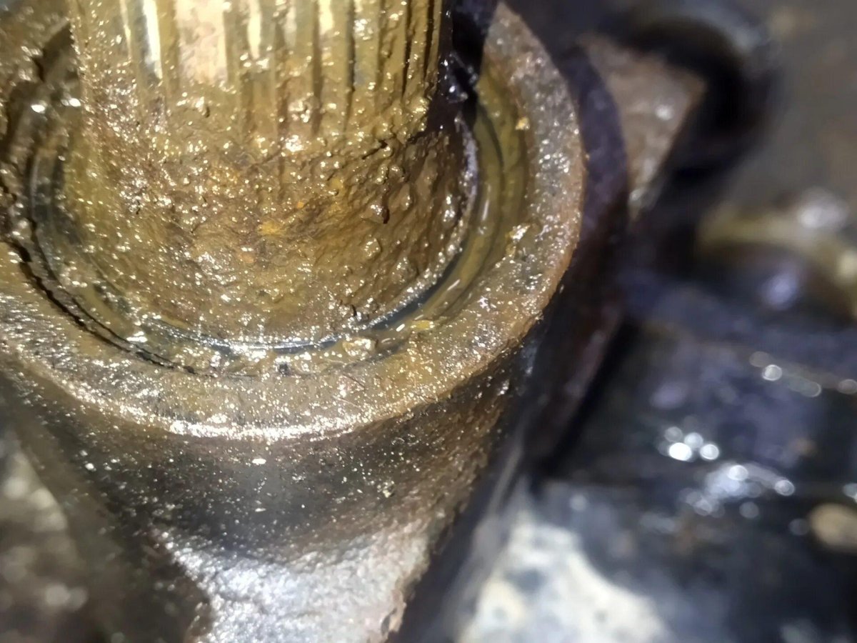 Люфт купить оптом