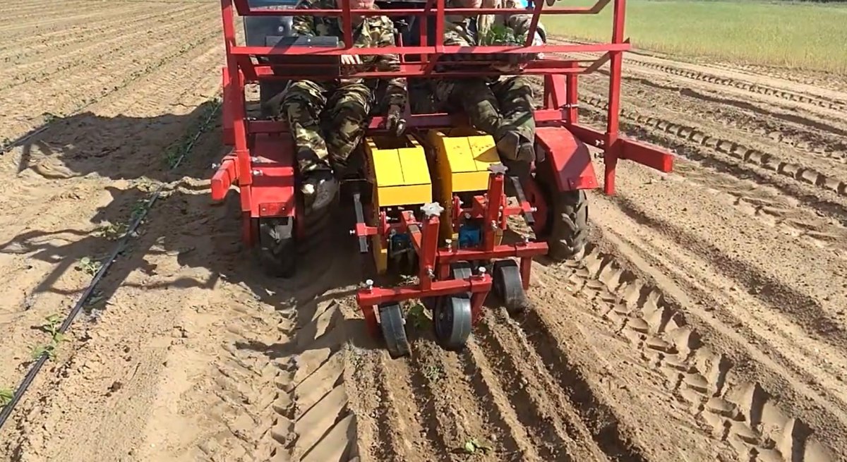 МРП-2 машина рассадопосадочная