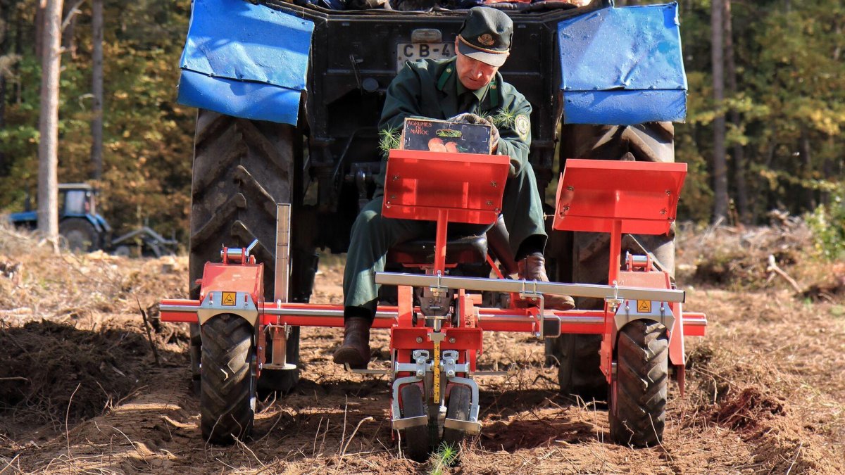 МЛУ-1 Лесопосадочная машина