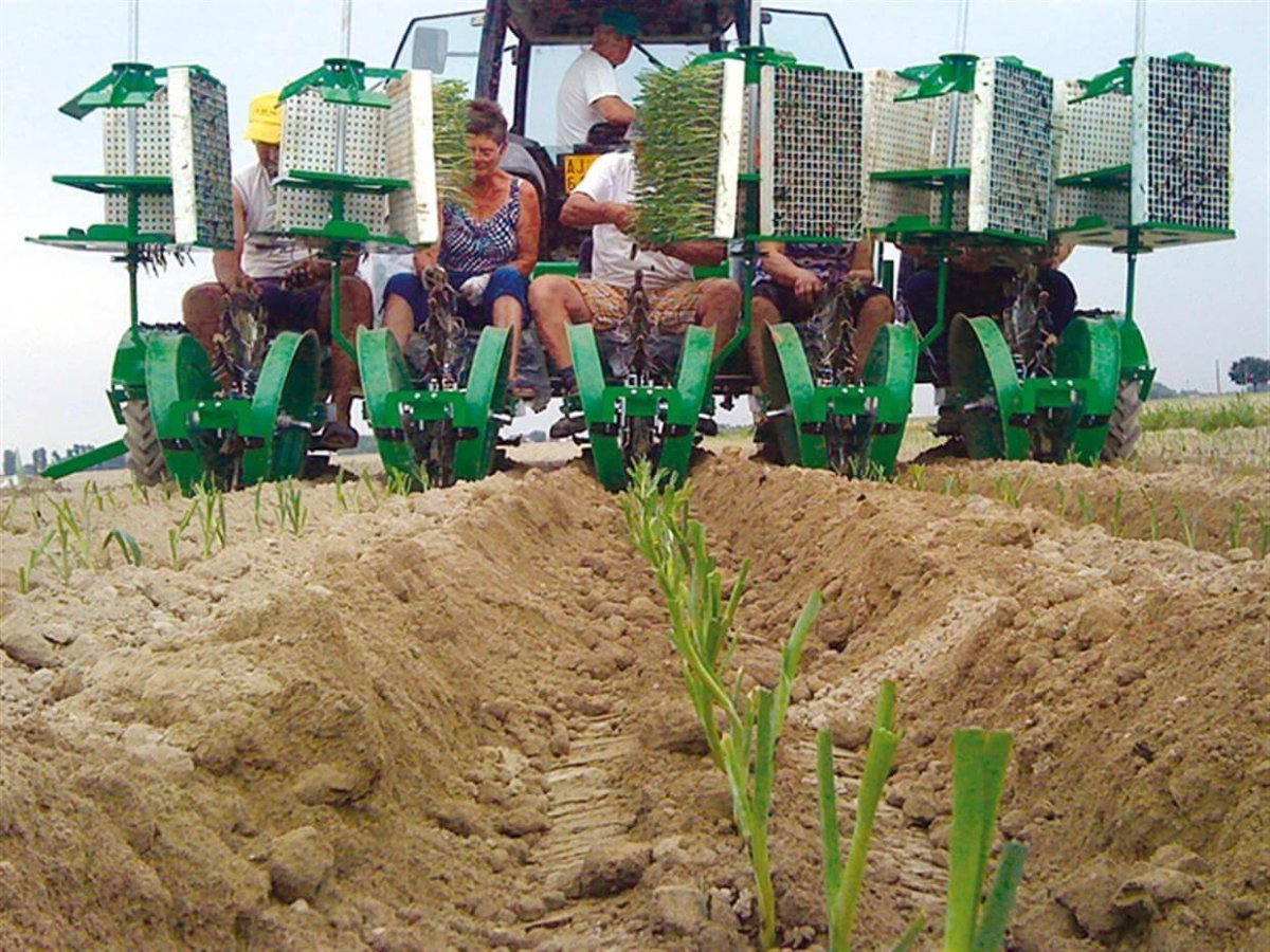 Сеялка Сфоджия