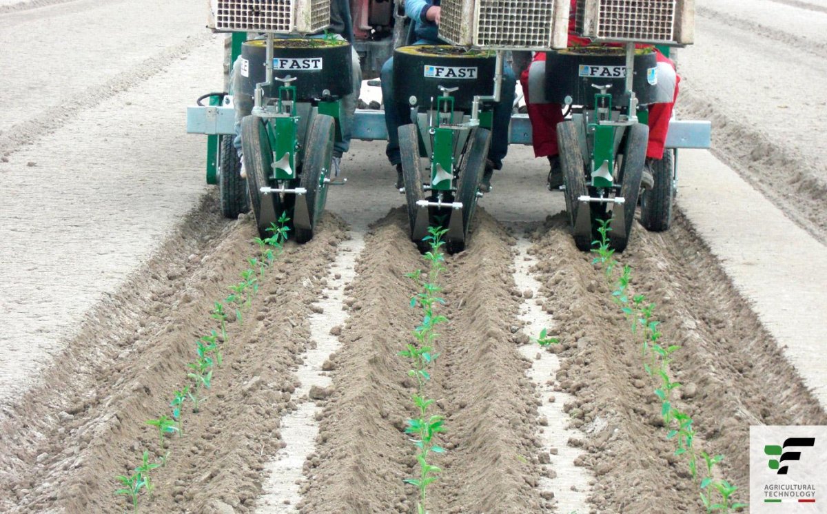 МРП-2 машина рассадопосадочная