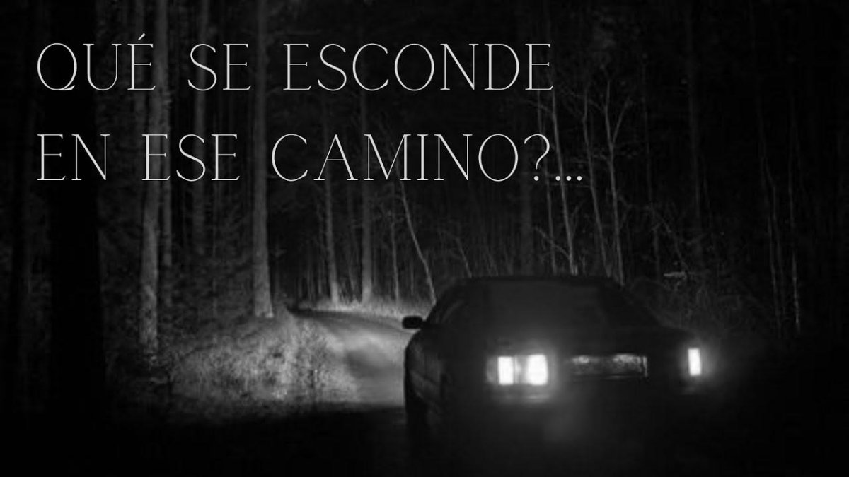 Машина в лесу ночью