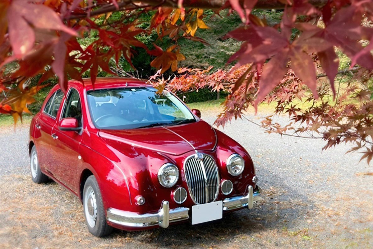 Mitsuoka Ryoga