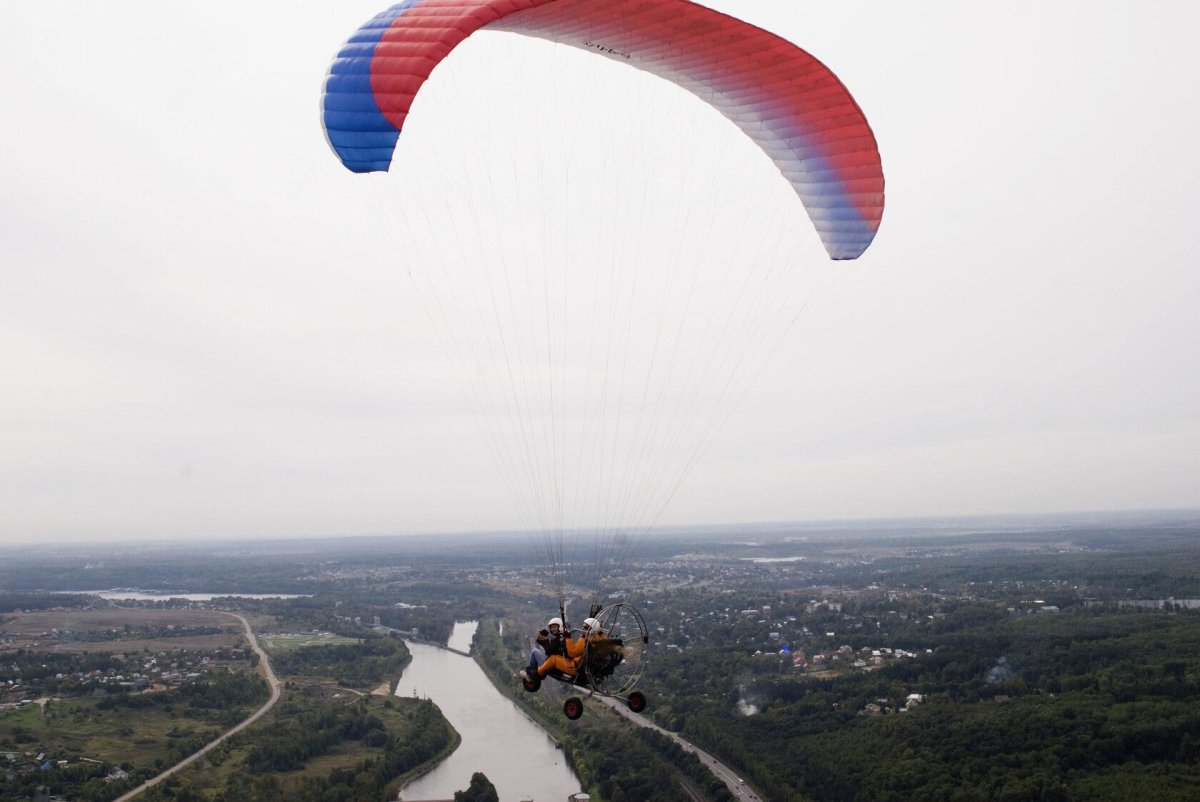 Паралет Стриж