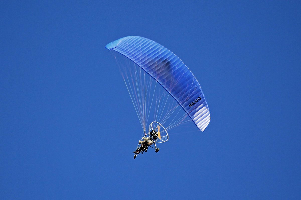 Паралетчик