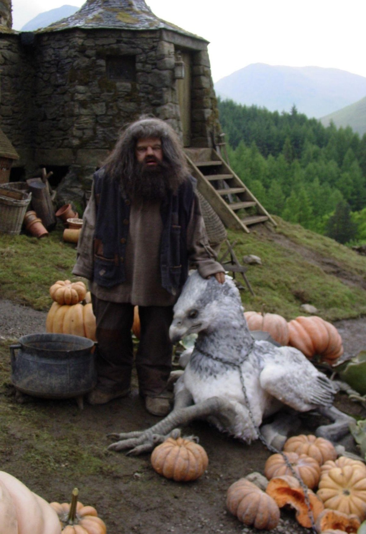 Гарри Поттер Клювокрыл