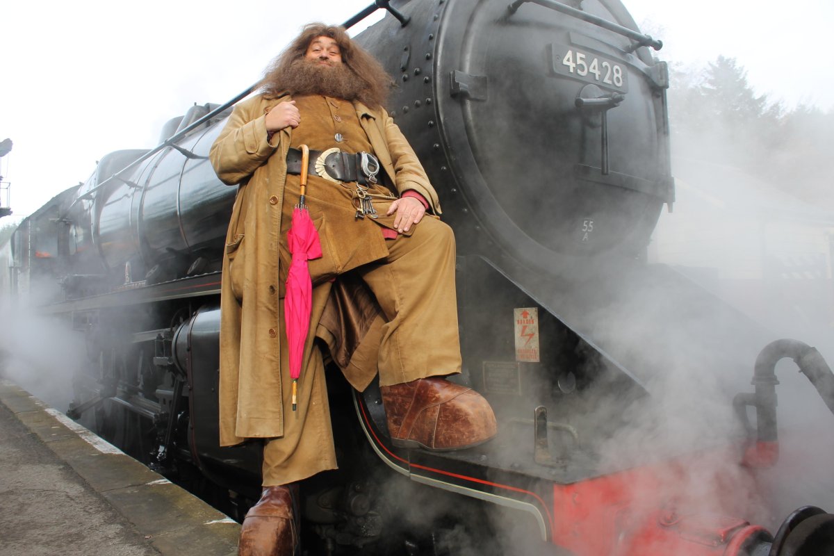Хагрид в поезде